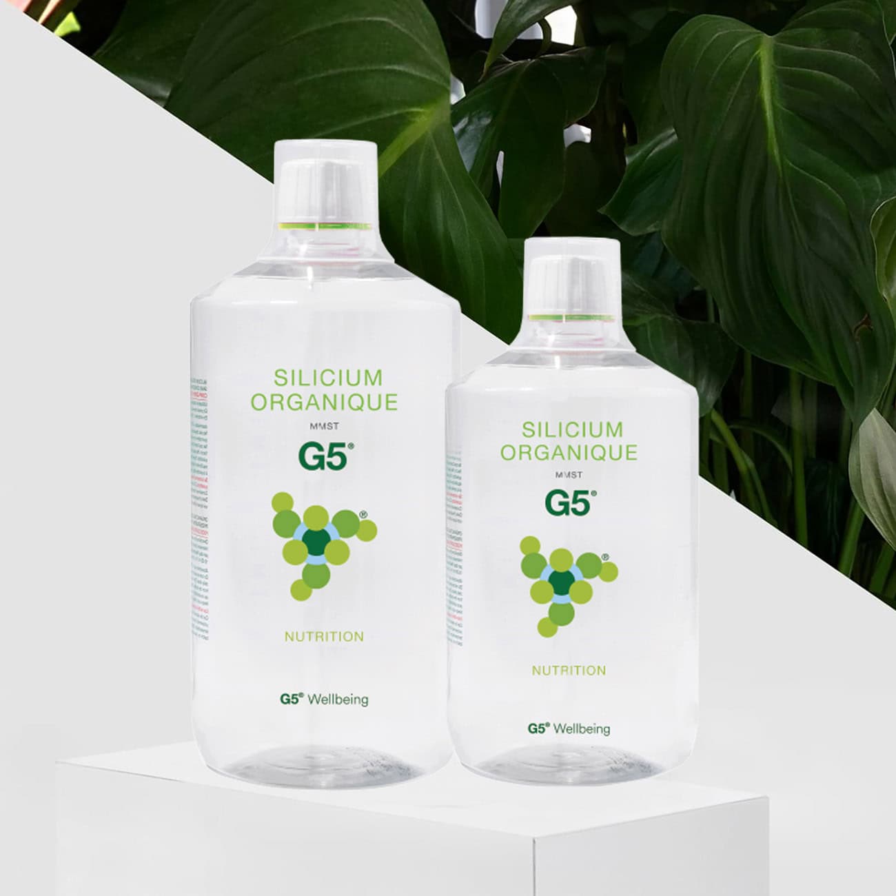 complément alimentaire silicium organique mmst